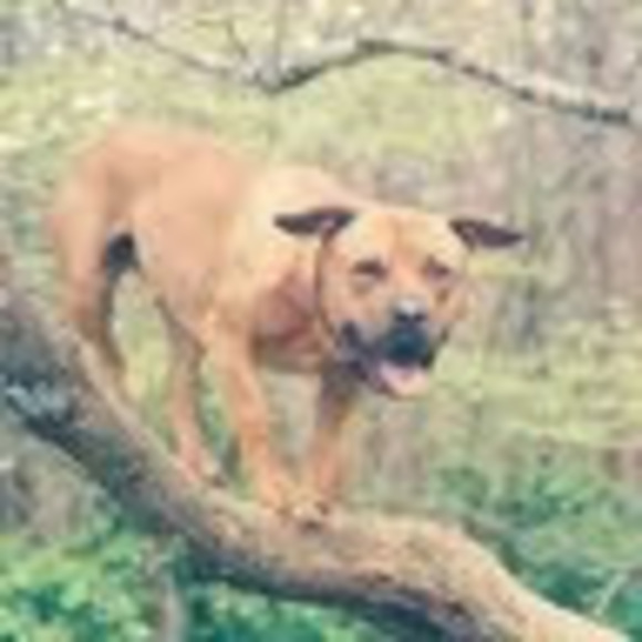 Meet your Posher, Conrad - Picture 1 of 1